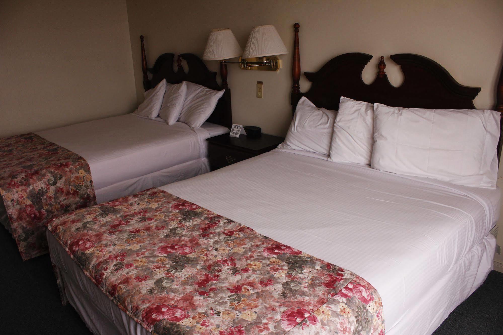 Brier Island Lodge Westport Bagian luar foto